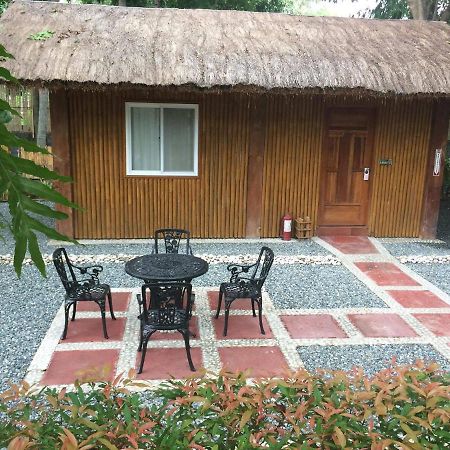 Buenavista Family Inn Tagudin Exterior foto