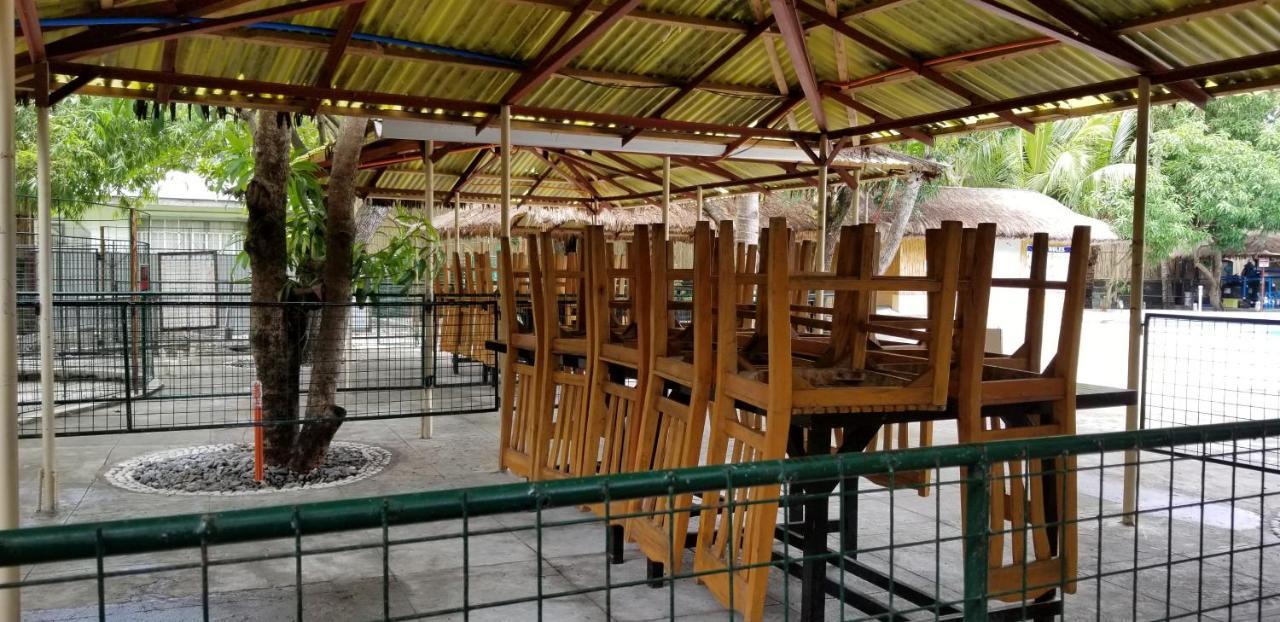 Buenavista Family Inn Tagudin Exterior foto