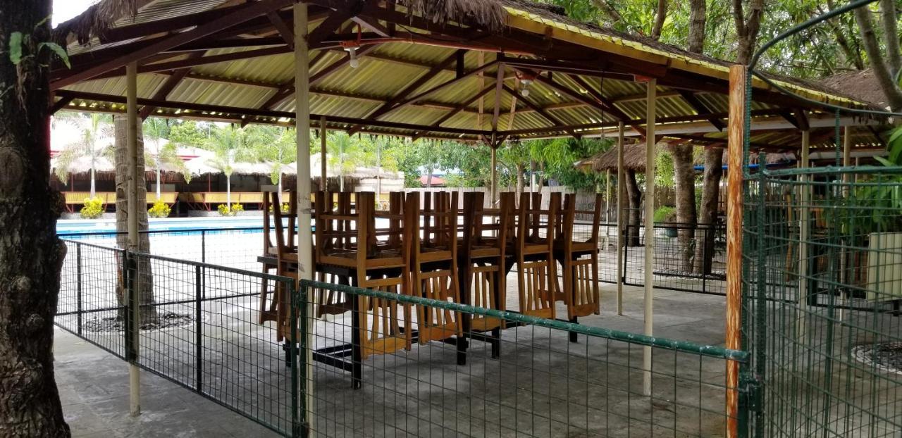 Buenavista Family Inn Tagudin Exterior foto